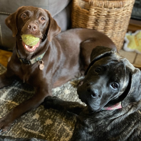 Meet your Posher, Erika 🛍️ ReStyleVibe 🛍️ - Picture 7 of 7